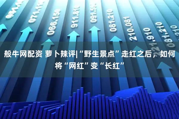 般牛網(wǎng)配資 蘿卜辣評|“野生景點(diǎn)”走紅之后，如何將“網(wǎng)紅”變“長紅”